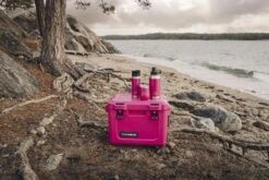 Dometic "Patrol Icebox 20L" - Orchid